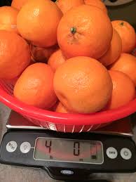 satsuma marmalade and citrus season
