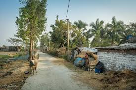 Village Landscape Sundarban West Bengal India Sundarban West Bengal India January 22 2020 A Woman Is Doing H West Bengal Landscape Stock Images Free