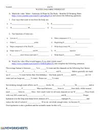 A karyotype analysis usually involves blocking cells in mitosis and staining the condensed chromosomes with giemsa dye. Water And Fiber Webquest Worksheet