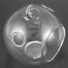 Terrarium from stained glass topaz 3 sizes. 8pcs Set Sodial 80mm Hanging Tealight Holder Glass Globes Terrarium Wedding Candle Holder Candlestick Mimbarschool Com Ng