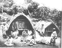 dhivehi bavana