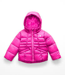 The North Face Toddler Girls Moondoggy 2 0 Down Jacket Azalea Pink 6t