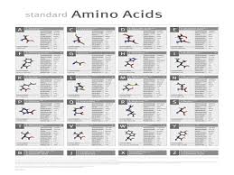 amino acids