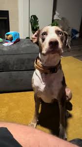 Derek Schouten (@dkschouten)