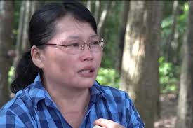 Chuyện cổ tích về cô bé lạc nhà... 40 năm