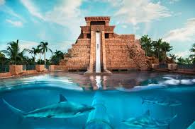 9 Best Waterslides In The World Atlantis Bahamas Paradise Island Bahamas Bahamas Vacation