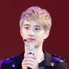 Exo also has different colored microphones for the different members, representing their personality or even their personal choice of color. Exo Translation Trans D O S Hair Color