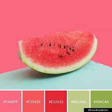 Watermelon Summer Bold And Fresh Color Palette Inspiration Digital Art Palette And Brand Color Palette Bright Color Palette Design Fresh Color Palette