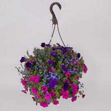 Funeral homes in rapid city sd. Hanging Baskets In Rapid City Sd Flowers By Leroy