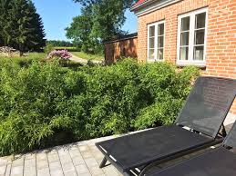 See more of bambus garten on facebook. Bambus Mit Einer Hohe Bis 3 M Gartencenter Shop Gartencenter Shop24