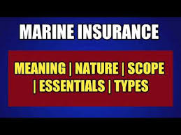 There are different types of insurance depending on the needs of the user, like health insurance, life insurance, accident. Marine Insurance Meaning Nature Scope Essentials Principles And Types Law And Polo