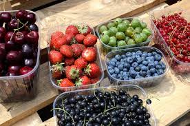 Neumanns Erntegarten Und Hofladen Selbsternte Und Hofladen Potsdam Hofladen Ernte Hof