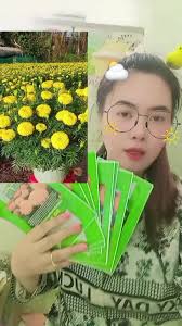 hạt giống hoa van tho #SportsOnTikTok #CapCut #pgc2023 #ThanhThoiLuotT...