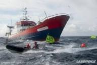 Pêche profonde : l'Ifremer donne raison aux ONG - Greenpeace France
