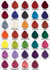 Directions Semi Permanent Hair Dye Free Tint Brush Terry S Boutique Directions Hair Dye Dip Dye Hair Permanent Hair Dye