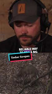 Utilize your surroundings! New podcast in bio link breaking down tree stand  placement! #deerhunting #deerszn #bowhunting #hunting #huntingszn  #monsterbucks #bigbucks #bigracks #velvetbucks #scouting ...