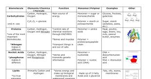 file biomolecules chart jpg wikiversity