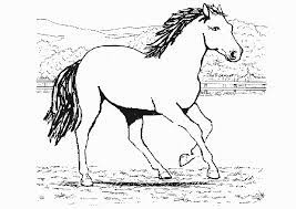 Ausmalbilder Pferde Ohne Reiter Malvorlage Kinder Bilder Download Malvorlage Dinosaurier Malvorlagen Disney Mal Horse Coloring Pages Moose Art Horse Coloring