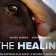 Screening of “The Healing” movie in support of... event in Branxton NSW