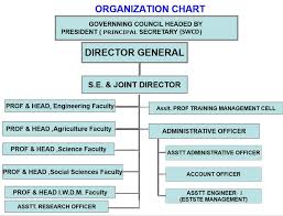 organization chart