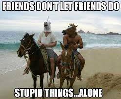 Image result for funny horse