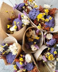 Check spelling or type a new query. Inspiration Dyed Dried