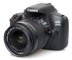 What Are The Best Cameras For Parents Fstoppers