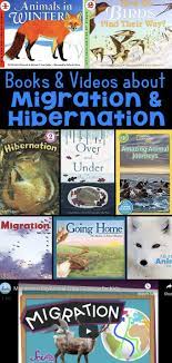What Animals Do In Winter Books And Videos About Migration And Hibernation Winter Books Picture Book Hibernation Activities