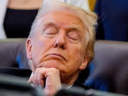 Ellen's Oscar Selfie & the Week's Best Celebrity Selfies (PHOTOS)