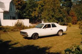 Image result for Frost White 1970 Hornet