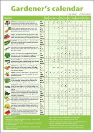 A Beginners Guide To Growing Vegetables Gardening