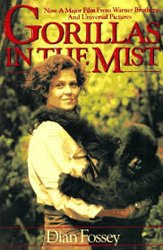Gorillas in the Mist | Flagler Beach Library | TinyCat