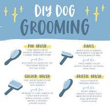 Le salon essential rubber brush may not be best for mats or tangled hair but it works just fine as a deshedding brush for short hair dogs. Diy Grooming Dog Brush Basics Dog Brushing Diy Dog Stuff Dogs