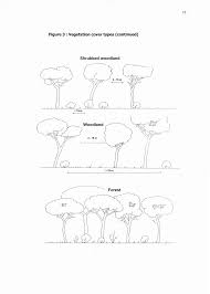 Image result for Stylochaeton puberulus