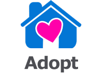 Become certified in first aid and cpr; Liac Learn About Fostering And Adoption In Lubbock Texas