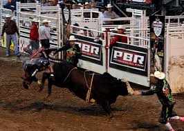 We did not find results for: Professional Bull Riders Heroes And Legends Wikipedia