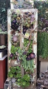 Succulents In A Door Frame From The Succulent Cafe Photo By Paula Deubig Succulents Diy Succulent Garden Design Succulents