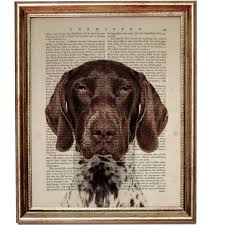 Kortharige Duitse Dog Mooie Art Print Op Upcycled Woordenboek German Shorthaired Pointer Dog German Shorthaired Pointer Dog Print Art