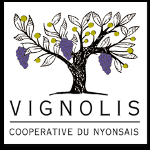Le Musee Espace Vignolis Vignolis