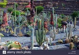 Look, im not saying this cactus war is anything compared to the potato war, but it apparently exists. El Jardin De Cactus Kakteengarten Teneriffa Dies War Eines Der Letzten Werke Des Beruhmten Lanzarote Kunstlers Cesar Manrique Stockfotografie Alamy