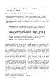 Image result for Cienfuegosia gerrardii