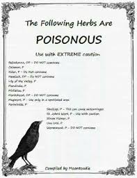 Warnings On Certain Herbs Do Not Eat Healing Herbs Herbal Magic Herbalism