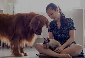 You only need to stop and look around you to notice an abundance of people with pets. Best Pet Insurance For Covering Injuries Illness Trupanion