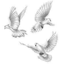 Duif Tattoo Dove Tattoo Dove Tattoos Dove Tattoo Design