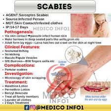 Image result for scabies human symptoms