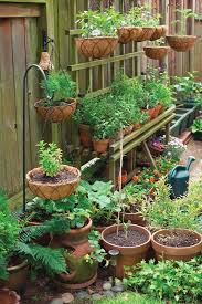Expert Home Gardening Tips For Beginners Small Vegetable Gardens Container Gardening Vegetables Plants