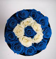 We did not find results for: Aelia Events Live Forever Flower Evil Eye Flower Box Facebook