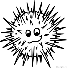 Free printable sea urchin coloring page in vector format, easy to print from any device and automatically fit any paper size. Sea Urchin Coloring Pages Coloringall