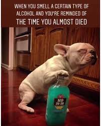 When You Smell A Certain Type Of Alcohol And Youre Reminded Of The Time You Almost Died Md 20 20 Monkeys Funny Super Funny Memes Funny Animal Pictures