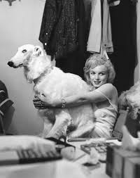 Stunning Photos of Marilyn Monroe as 5 Different Celebrated ...